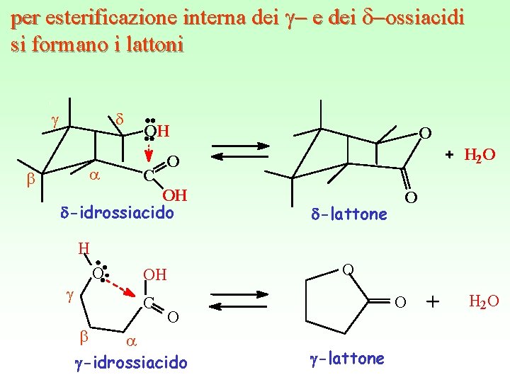 per esterificazione interna dei g- e dei d-ossiacidi si formano i lattoni g b