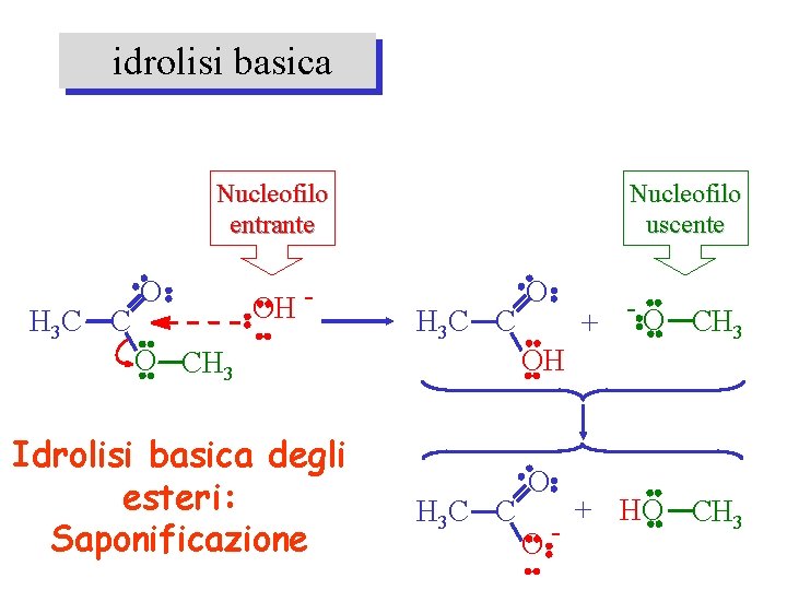 idrolisi basica Nucleofilo entrante H 3 C C O OH - Nucleofilo uscente H