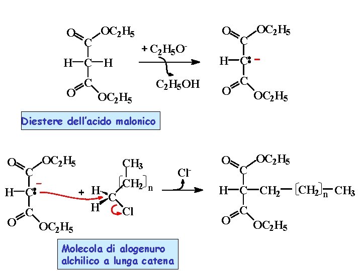 O C OC 2 H 5 - C 2 H 5 O H C
