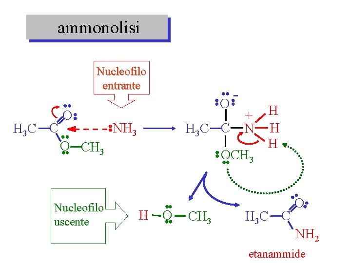 ammonolisi Nucleofilo entrante H 3 C C O O H 3 C C NH