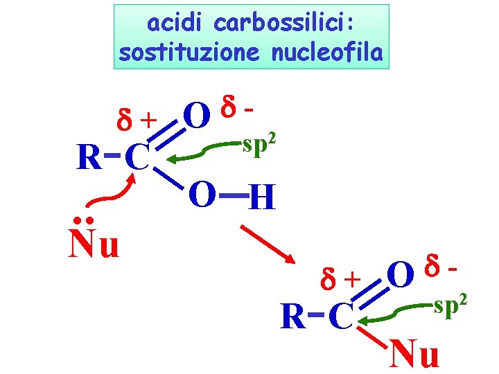 acidi carbossilici: sostituzione nucleofila + R C . . Nu O sp 2 O