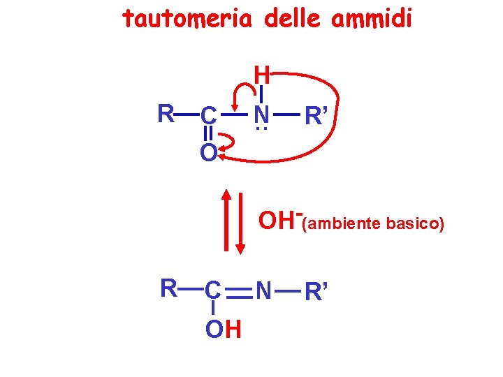 tautomeria delle ammidi H R C O N. . R’ OH-(ambiente basico) R C