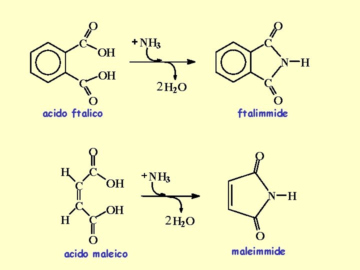O O C OH OH C O NH 3 C N H H 2