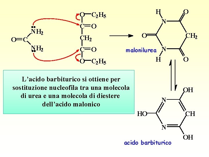 H O C 2 H 5 O C NH 2 N C O O