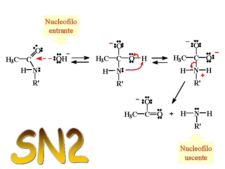 Nucleofilo entrante O H 3 C C H N R' O O OH H
