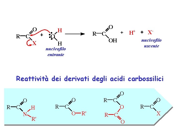 O R C O X O H R C OH H X- H+ nucleofilo