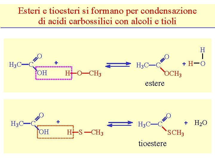 Esteri e tioesteri si formano per condensazione di acidi carbossilici con alcoli e tioli