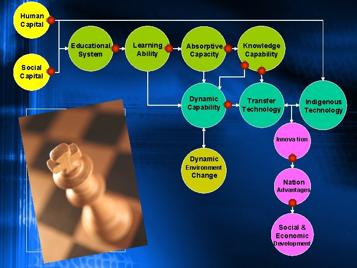 Human Capital Educational System Learning Ability Absorptive Capacity Knowledge Capability Dynamic Capability Transfer Technology