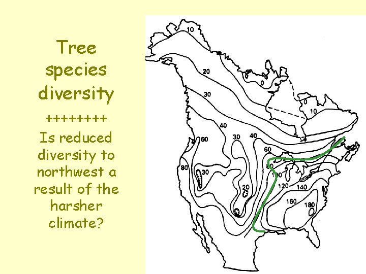 Tree species diversity ++++ Is reduced diversity to northwest a result of the harsher Tree species diversity ++++ Is reduced diversity to northwest a result of the harsher