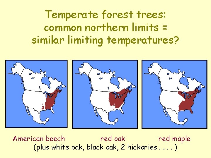 Temperate forest trees: common northern limits = similar limiting temperatures? American beech red oak