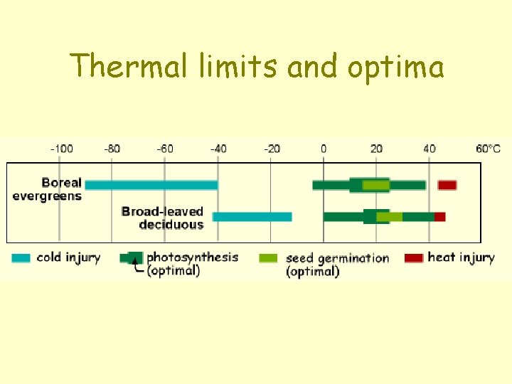 Thermal limits and optima Thermal limits and optima