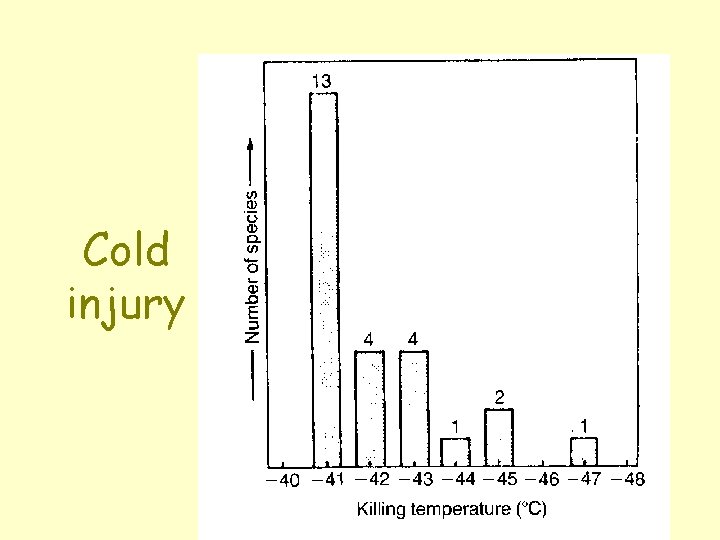 Cold injury 