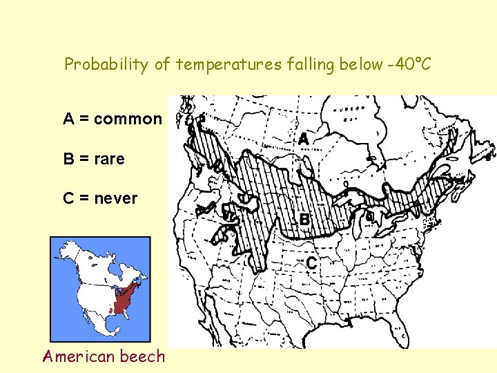 Probability of temperatures falling below -40°C A = common B = rare C =