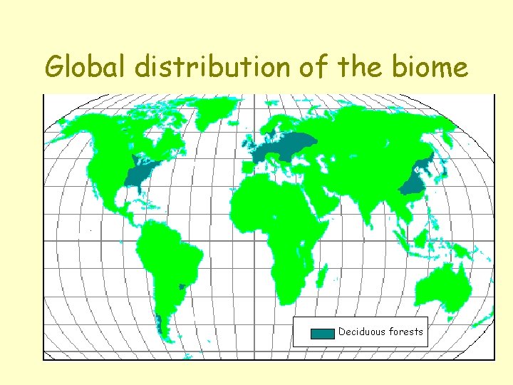 Global distribution of the biome Deciduous forests 