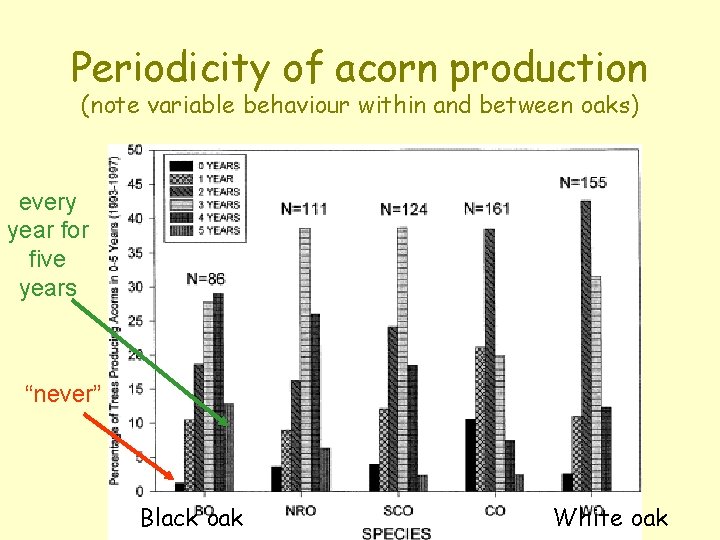 Periodicity of acorn production (note variable behaviour within and between oaks) every year for Periodicity of acorn production (note variable behaviour within and between oaks) every year for