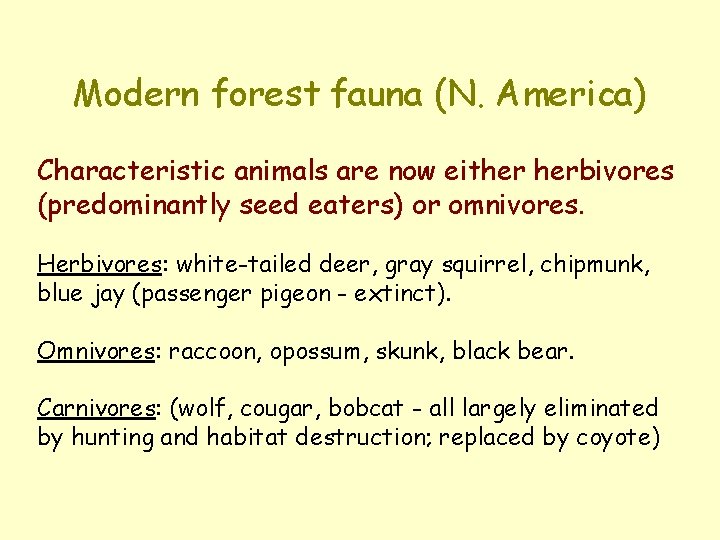 Modern forest fauna (N. America) Characteristic animals are now either herbivores (predominantly seed eaters) Modern forest fauna (N. America) Characteristic animals are now either herbivores (predominantly seed eaters)