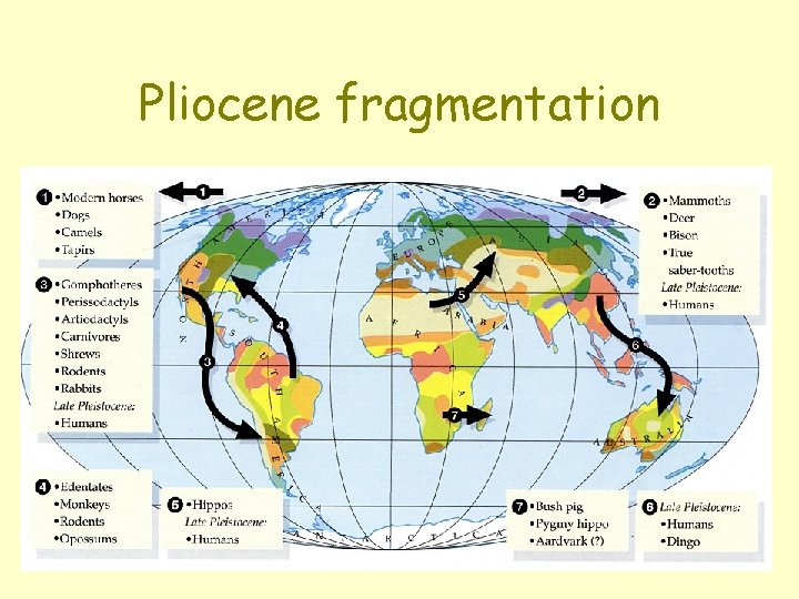 Pliocene fragmentation Pliocene fragmentation