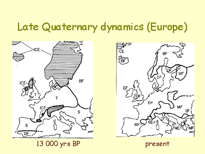 Late Quaternary dynamics (Europe) 13 000 yrs BP present 