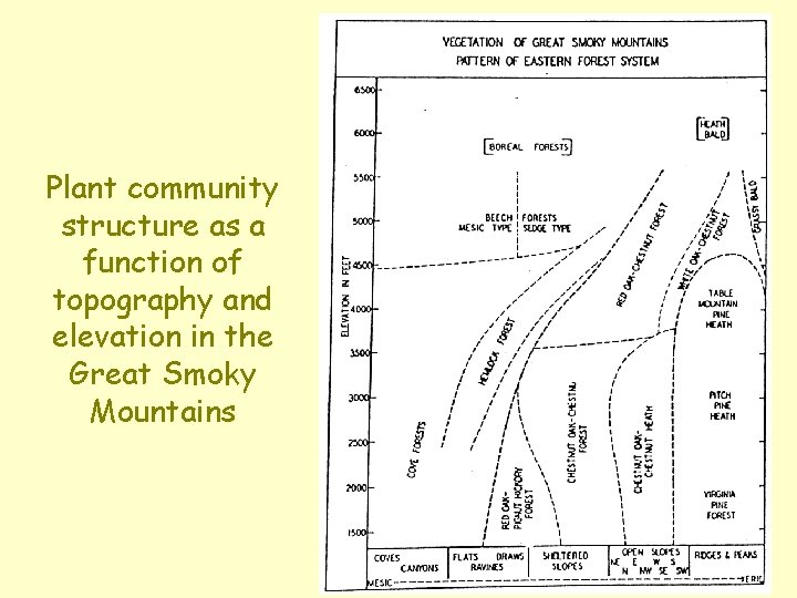 Plant community structure as a function of topography and elevation in the Great Smoky