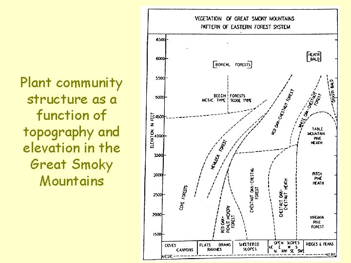 Plant community structure as a function of topography and elevation in the Great Smoky Plant community structure as a function of topography and elevation in the Great Smoky