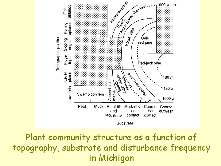 Plant community structure as a function of topography, substrate and disturbance frequency in Michigan