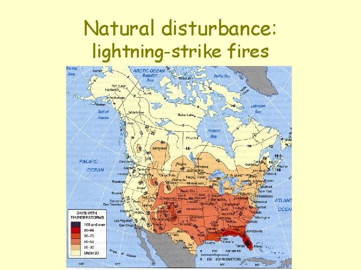 Natural disturbance: lightning-strike fires Natural disturbance: lightning-strike fires