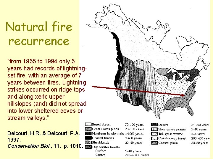 Natural fire recurrence “from 1955 to 1994 only 5 years had records of lightningset