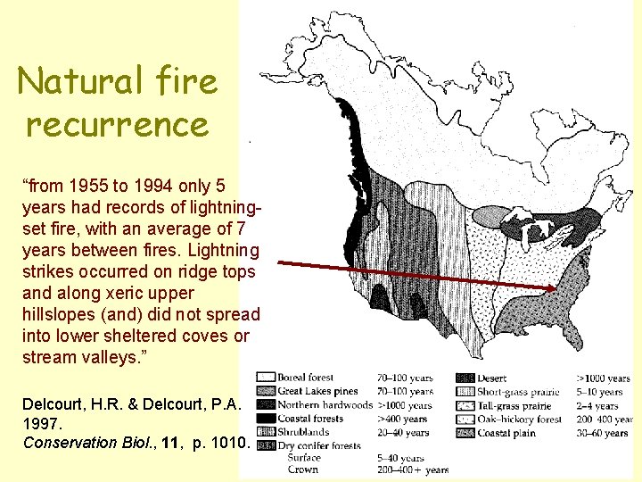 Natural fire recurrence “from 1955 to 1994 only 5 years had records of lightningset Natural fire recurrence “from 1955 to 1994 only 5 years had records of lightningset