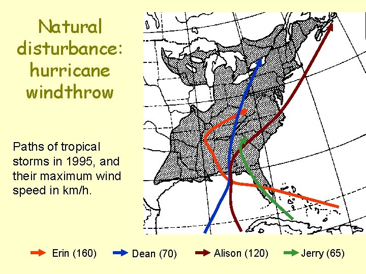 Natural disturbance: hurricane windthrow Paths of tropical storms in 1995, and their maximum wind