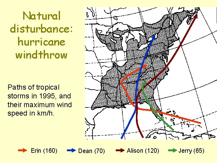 Natural disturbance: hurricane windthrow Paths of tropical storms in 1995, and their maximum wind Natural disturbance: hurricane windthrow Paths of tropical storms in 1995, and their maximum wind