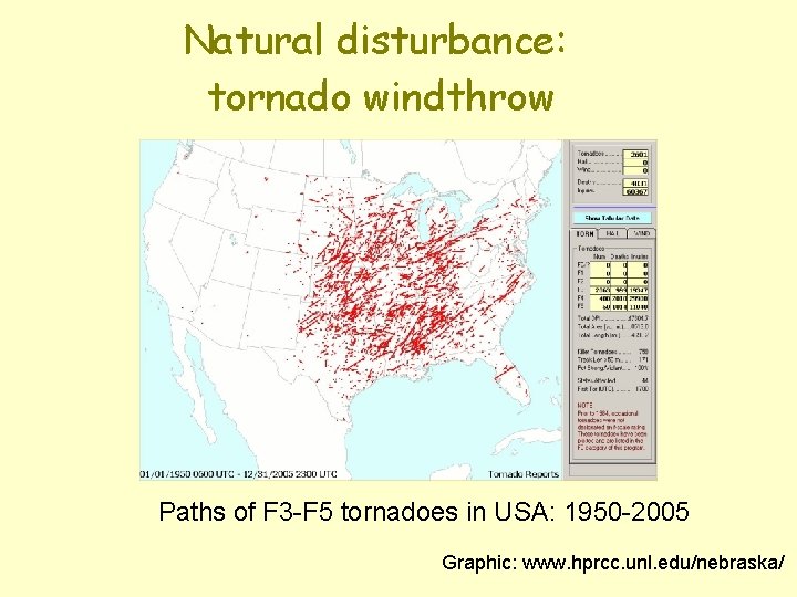 Natural disturbance: tornado windthrow Paths of F 3 -F 5 tornadoes in USA: 1950