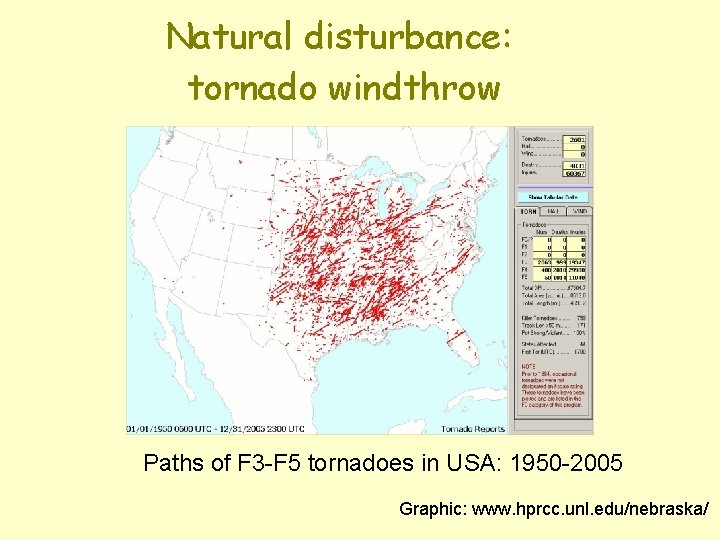 Natural disturbance: tornado windthrow Paths of F 3 -F 5 tornadoes in USA: 1950 Natural disturbance: tornado windthrow Paths of F 3 -F 5 tornadoes in USA: 1950