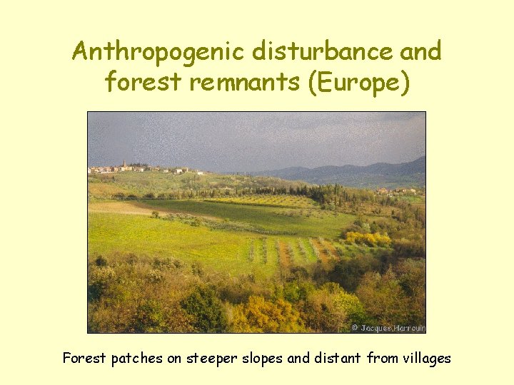 Anthropogenic disturbance and forest remnants (Europe) Forest patches on steeper slopes and distant from Anthropogenic disturbance and forest remnants (Europe) Forest patches on steeper slopes and distant from