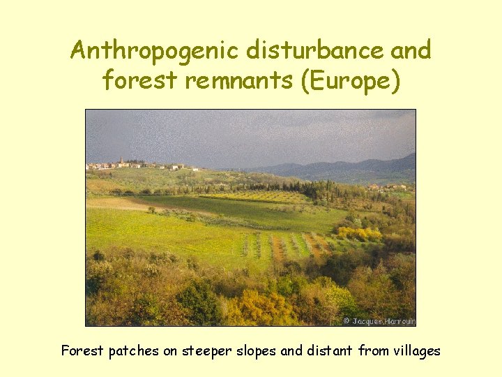 Anthropogenic disturbance and forest remnants (Europe) Forest patches on steeper slopes and distant from