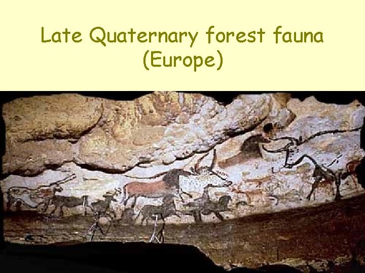 Late Quaternary forest fauna (Europe) Late Quaternary forest fauna (Europe)