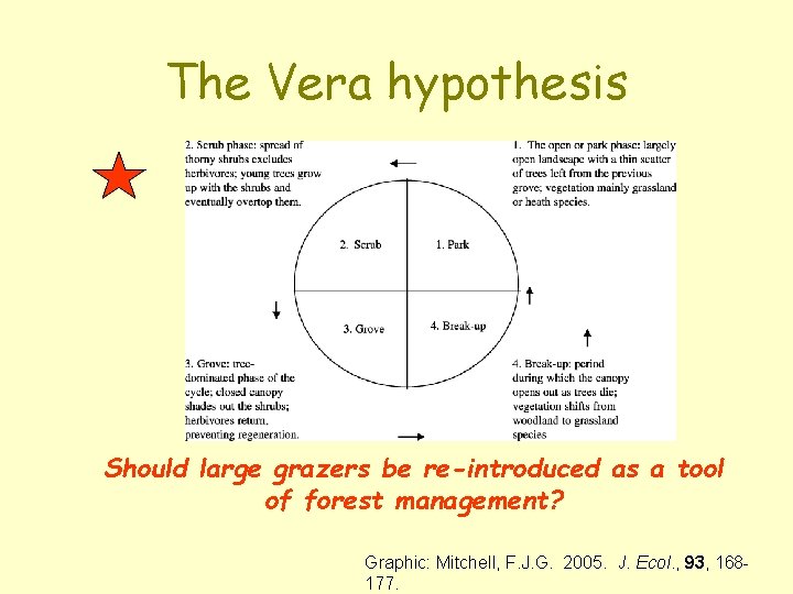 The Vera hypothesis Should large grazers be re-introduced as a tool of forest management? The Vera hypothesis Should large grazers be re-introduced as a tool of forest management?