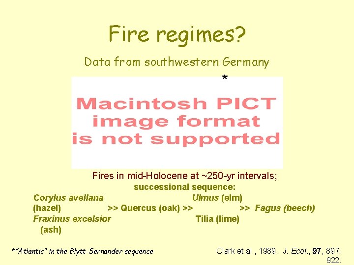 Fire regimes? Data from southwestern Germany * Fires in mid-Holocene at ~250 -yr intervals; Fire regimes? Data from southwestern Germany * Fires in mid-Holocene at ~250 -yr intervals;