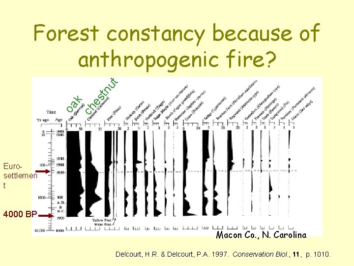 es tn ch oa k ut Forest constancy because of anthropogenic fire? Eurosettlemen t