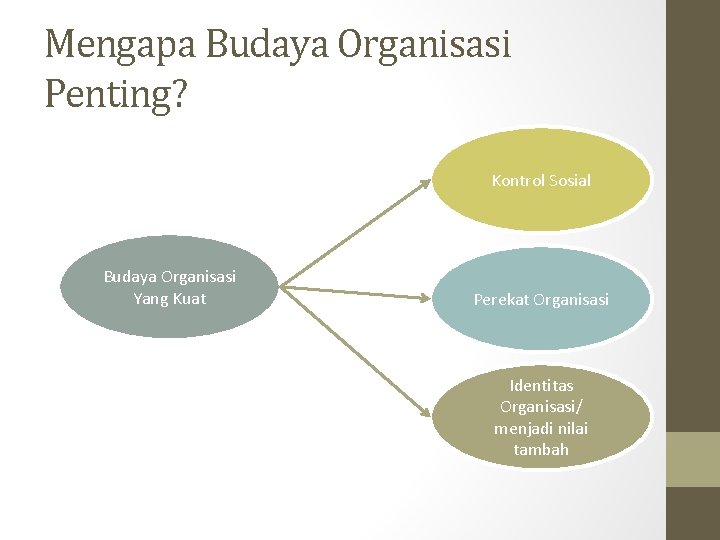 Mengapa Budaya Organisasi Penting? Kontrol Sosial Budaya Organisasi Yang Kuat Perekat Organisasi Identitas Organisasi/