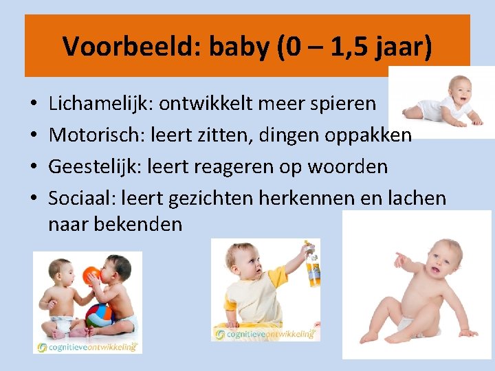 Voorbeeld: baby (0 – 1, 5 jaar) • • Lichamelijk: ontwikkelt meer spieren Motorisch: