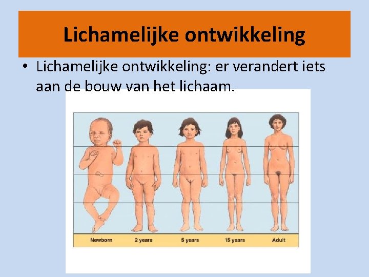 Lichamelijke ontwikkeling • Lichamelijke ontwikkeling: er verandert iets aan de bouw van het lichaam.