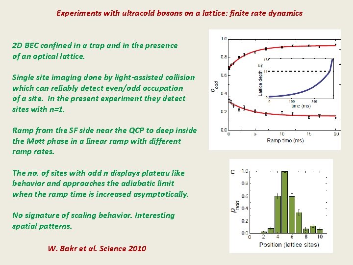 Experiments with ultracold bosons on a lattice: finite rate dynamics 2 D BEC confined