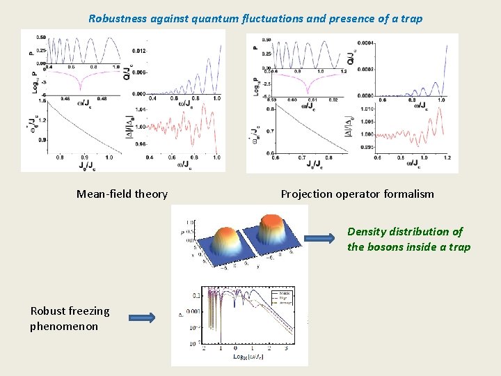 Robustness against quantum fluctuations and presence of a trap Mean-field theory Projection operator formalism