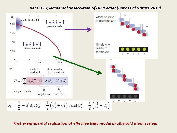 Recent Experimental observation of Ising order (Bakr et al Nature 2010) First experimental realization