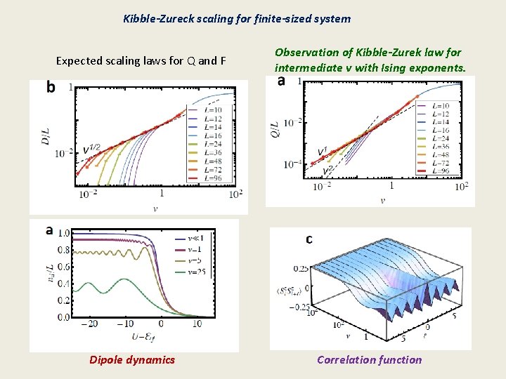 Kibble-Zureck scaling for finite-sized system Expected scaling laws for Q and F Dipole dynamics