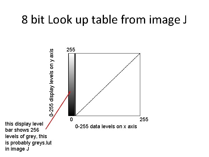 0 -255 display levels on y axis 8 bit Look up table from image