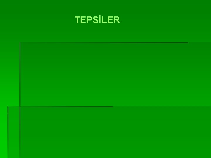 TEPSİLER 