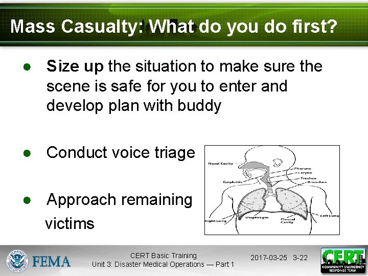 Mass Casualty: What do you do first? ● Size up the situation to make