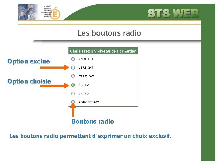 Les boutons radio Option exclue Option choisie Boutons radio Les boutons radio permettent d’exprimer