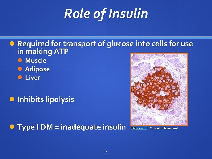 Role of Insulin Required for transport of glucose into cells for use in making